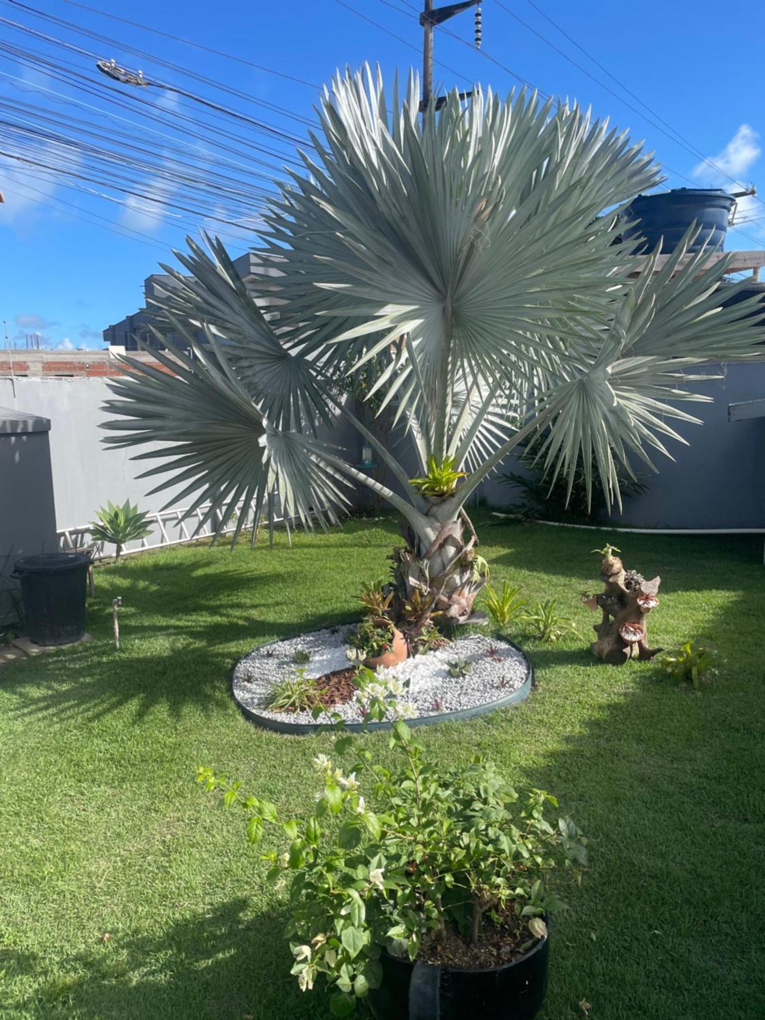 De 3 Quartos, No Taperapuan Duplex, Ha 400m Da Praia, Localizado Proximo Da Barraca Axe Moi, Boa E Etc * Porto Seguro